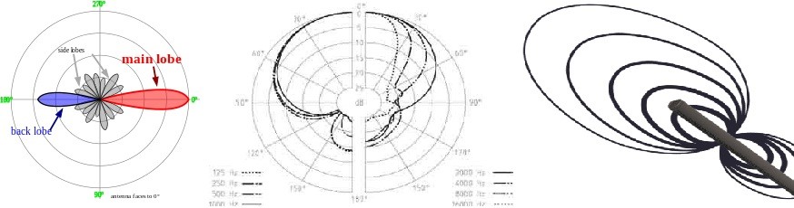 دیاگرام میکروفون